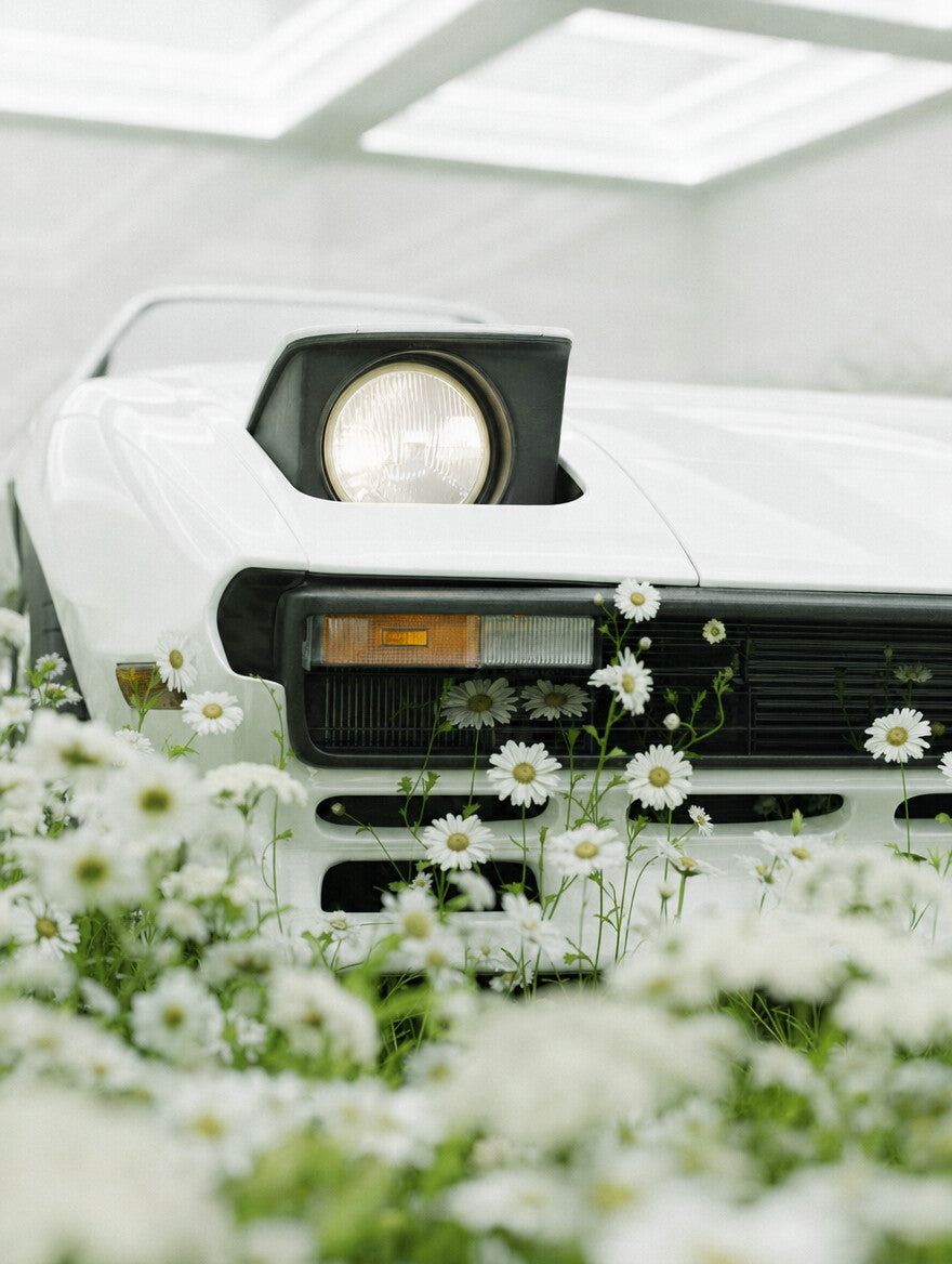 WHITE 02, a raised pop-up headlight above white daisies