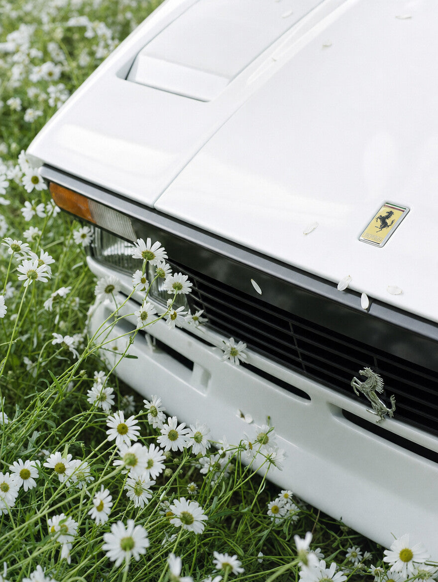 WHITE 03, the nose of the white car with daisies growing through the grille